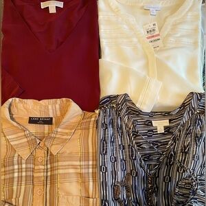 Four 2X large $20, Michael Kors, Charter Club and Lane Bryant!